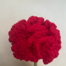 Load and play video in Gallery viewer, Forever Flowers- Crochet Carnations
