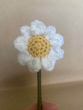 Load image into Gallery viewer, Forever Flowers- Crochet Daisies
